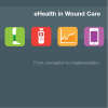 E-Health in Wound Care