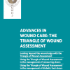 ADVANCES IN WOUND CARE: THE TRIANGLE OF WOUND ASSESSMENT