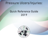 Prevention and Treatment of Pressure Ulcers/Injuries: Quick Reference Guide 2019