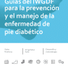 Guías del IWGDF para la prevención y el manejo de la enfermedad de pie diabético
