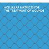 Acellular Matrices for the Treatment of Wounds