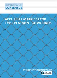 Acellular Matrices for the Treatment of Wounds