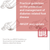 Practical guidelineson the preventionand management ofdiabetes-related footdisease