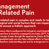 Gestión Holística del dolor relacionado con heridas