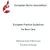 European Practice Guidelines for Burn Care